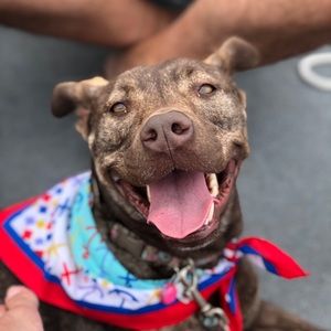 Meet your Posher, Marissa